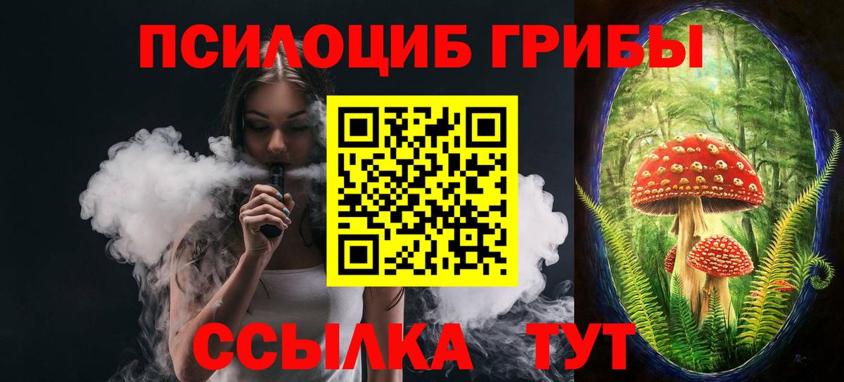Магадан  Псилоцибиновые грибы Cubensis  Галлюциногенные грибы Psilocybe  Вход с VPN 
