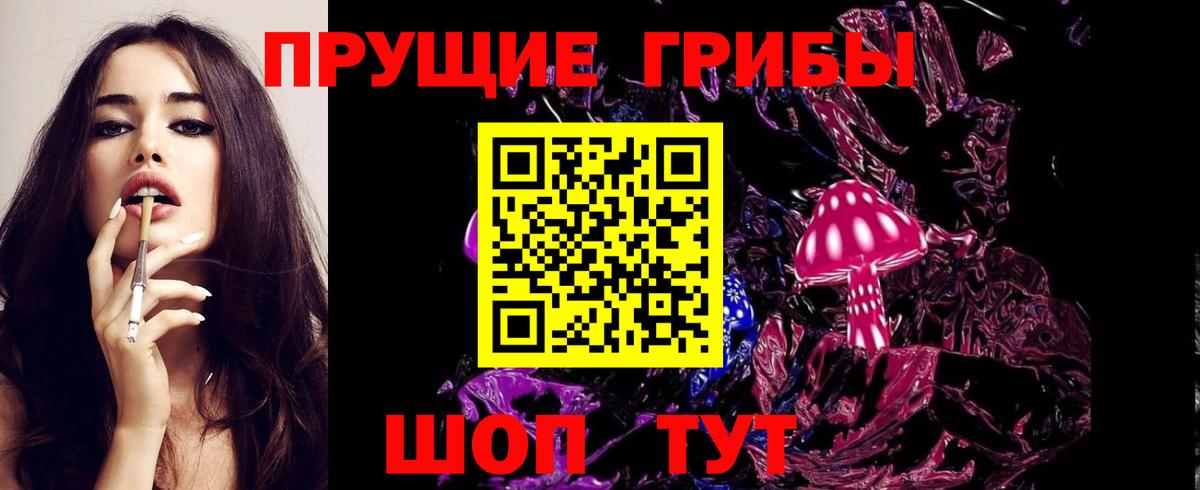 Псилоцибиновые грибы Psilocybine cubensis Магадан
